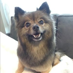 Meet your Posher, Ashleigh